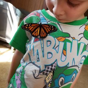 Meet your Posher, Mathew